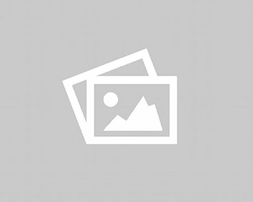 Logo Delegado RS Reta Final Verticalizada